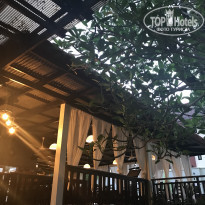 фото из отзыва ID 1895045