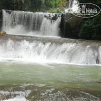 фото из отзыва ID 1895221