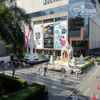 фото из отзыва ID 1895377