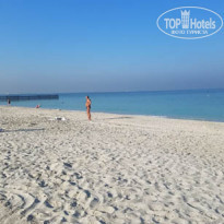 фото из отзыва ID 1895418