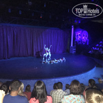 фото из отзыва ID 1895521