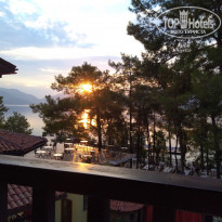 фото из отзыва ID 1895522