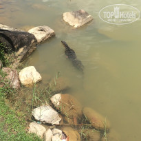 фото из отзыва ID 1895784