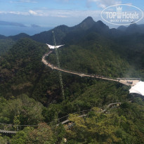 фото из отзыва ID 1895784