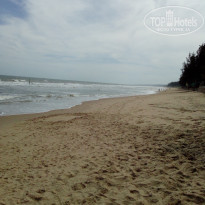 фото из отзыва ID 1895194