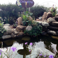 фото из отзыва ID 1895194