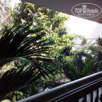 фото из отзыва ID 1895194