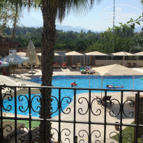 фото из отзыва ID 1895816