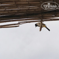 фото из отзыва ID 1895842