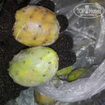 фото из отзыва ID 1895260