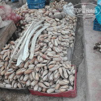 фото из отзыва ID 1895260