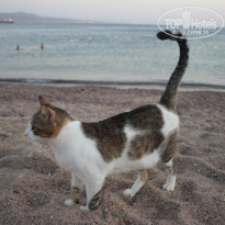 фото из отзыва ID 1895954