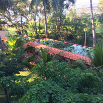 фото из отзыва ID 1896045