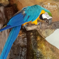 фото из отзыва ID 1896090