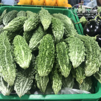 фото из отзыва ID 1896128