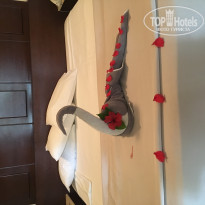 фото из отзыва ID 1896168