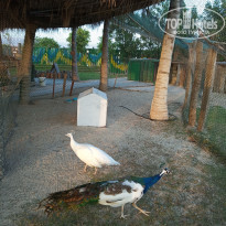 фото из отзыва ID 1895233