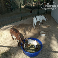 фото из отзыва ID 1895233