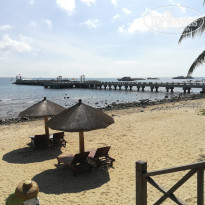 фото из отзыва ID 1894499