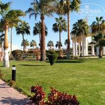 фото из отзыва ID 1896307