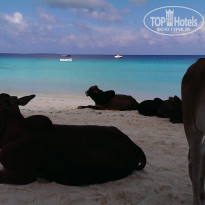 фото из отзыва ID 1896363