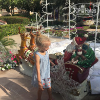 фото из отзыва ID 1896387