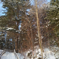 фото из отзыва ID 1896443