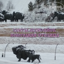 фото из отзыва ID 1896443