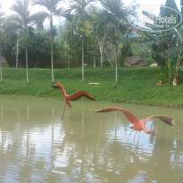 фото из отзыва ID 1896451