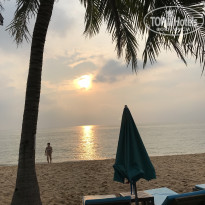 фото из отзыва ID 1896537