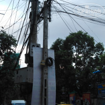 фото из отзыва ID 1896556