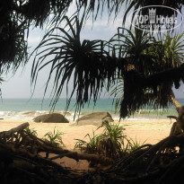 фото из отзыва ID 1896633