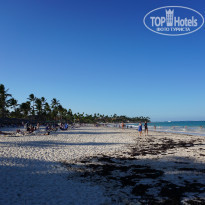 фото из отзыва ID 1896650