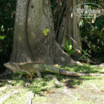 фото из отзыва ID 1896650