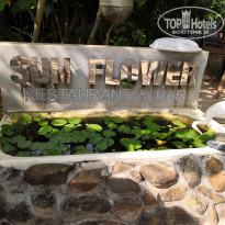 фото из отзыва ID 1896700