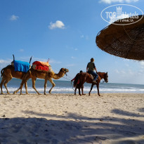 фото из отзыва ID 1896705