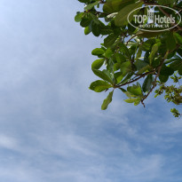 фото из отзыва ID 1896716