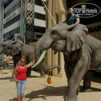 фото из отзыва ID 1896751