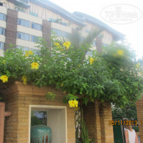 фото из отзыва ID 1896759