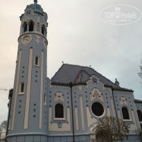 фото из отзыва ID 1896801