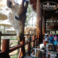 фото из отзыва ID 1896822