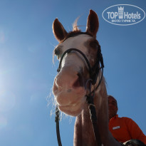 фото из отзыва ID 1896887