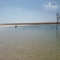 фото из отзыва ID 1895233