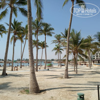 фото из отзыва ID 1895233