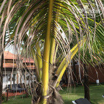 фото из отзыва ID 1896959