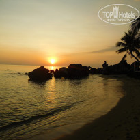 фото из отзыва ID 1897029