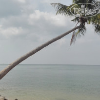 фото из отзыва ID 1897029