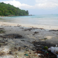 фото из отзыва ID 1897029