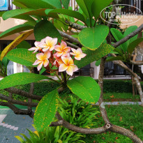 фото из отзыва ID 1897204