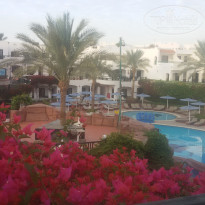 фото из отзыва ID 1897158